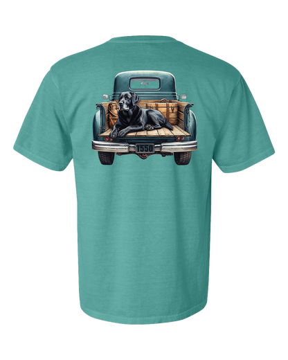 Dog in Truck Bed Youth Tee