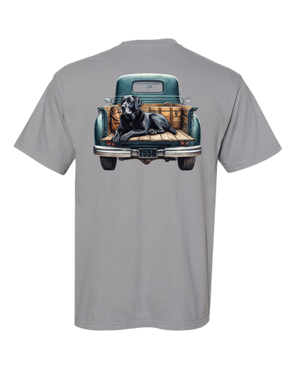 Dog in Truck Bed Youth Tee