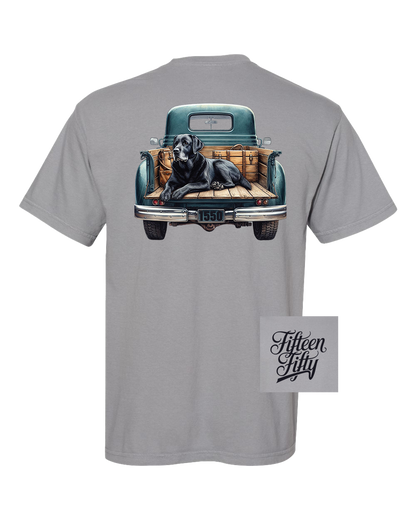 Dog in Truck Bed Youth Tee