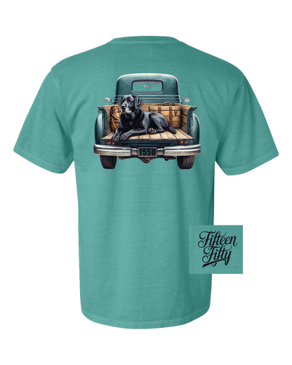 Dog in Truck Bed Youth Tee